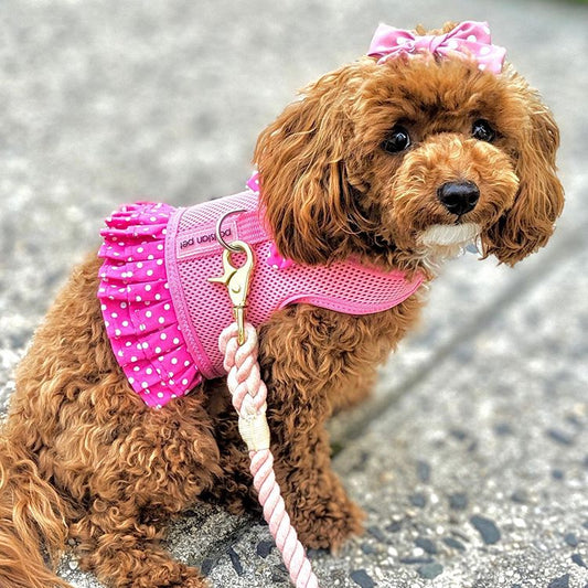 Polka Dot Harness Dress, Pink