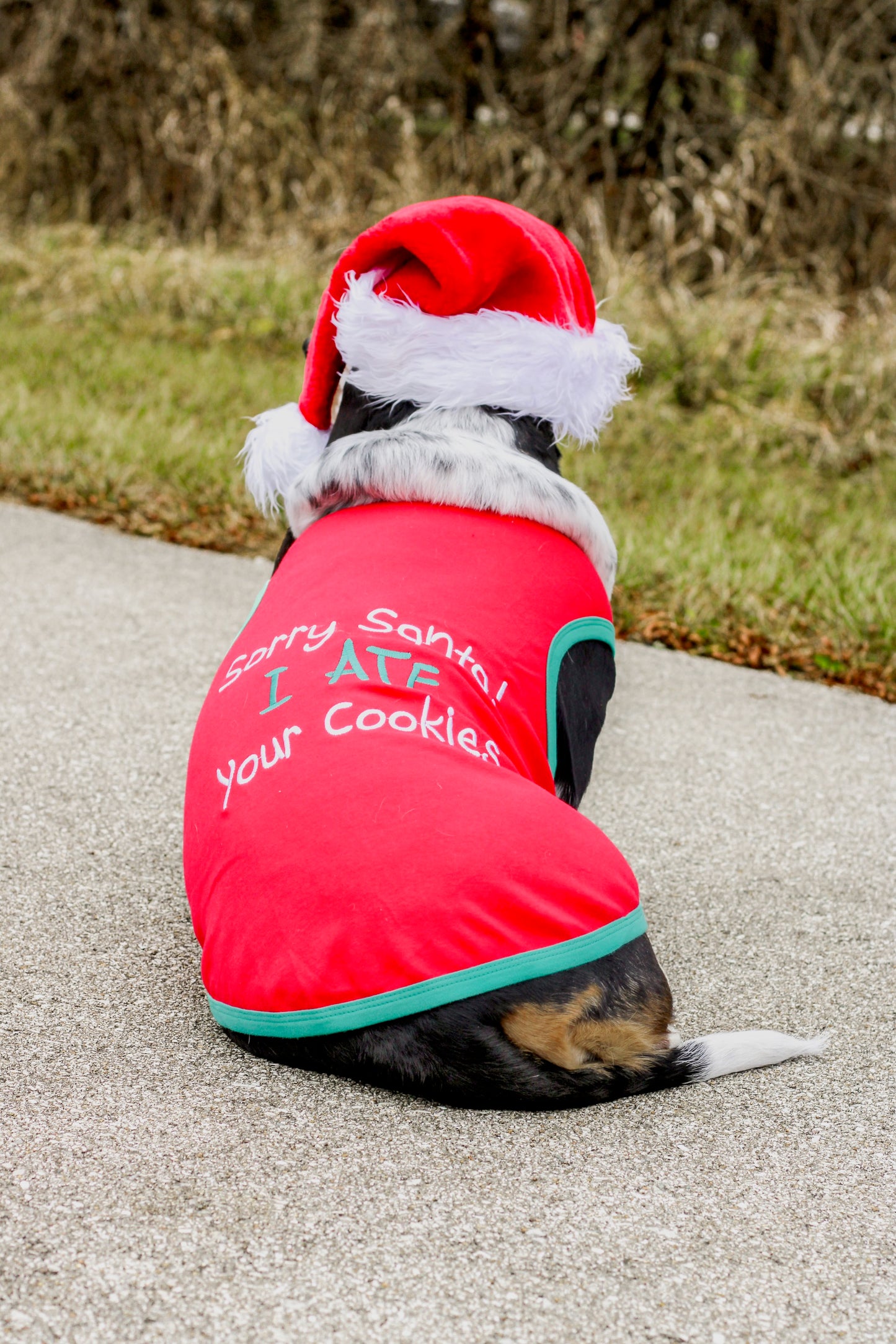 Sorry Santa I Ate Your Cookies