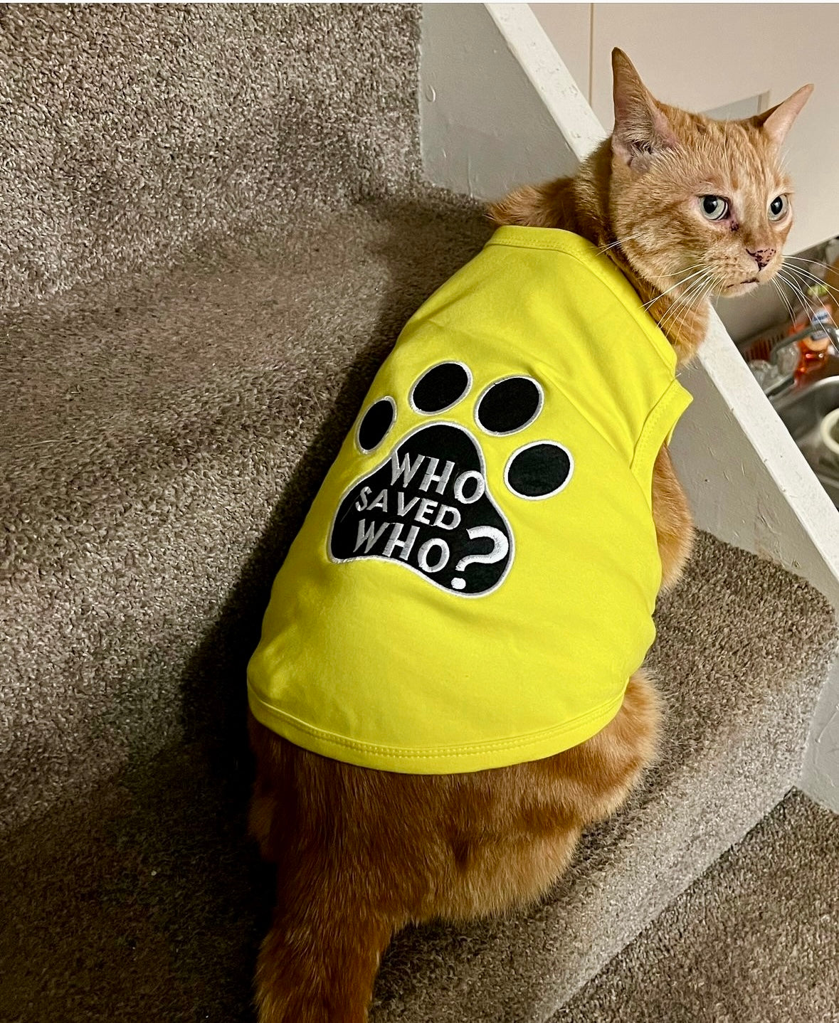 Who Saved Who?