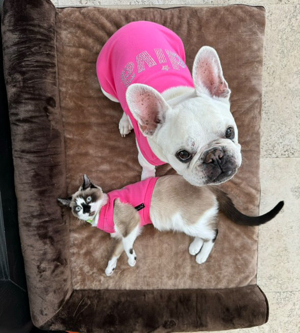 Diva
