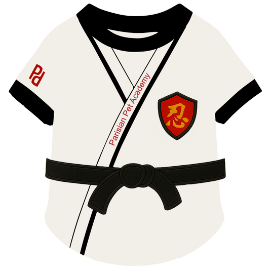 Karate Academy