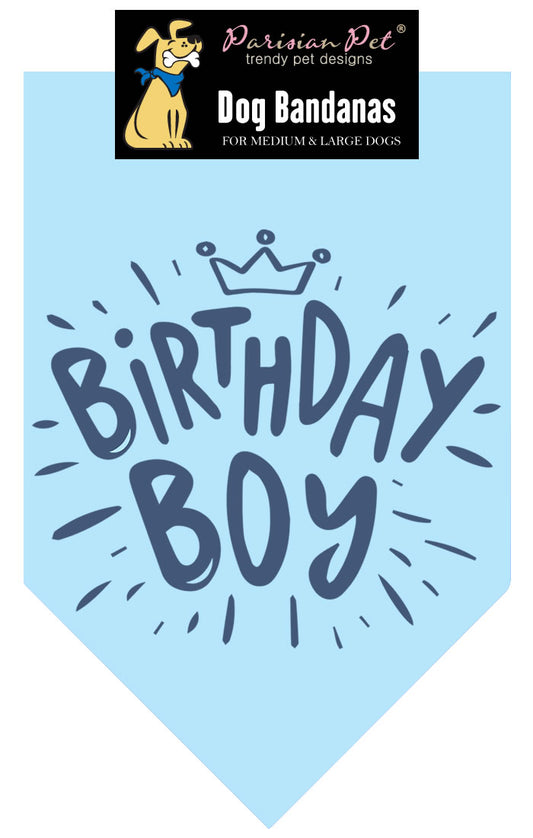 Birthday Boy Bandana