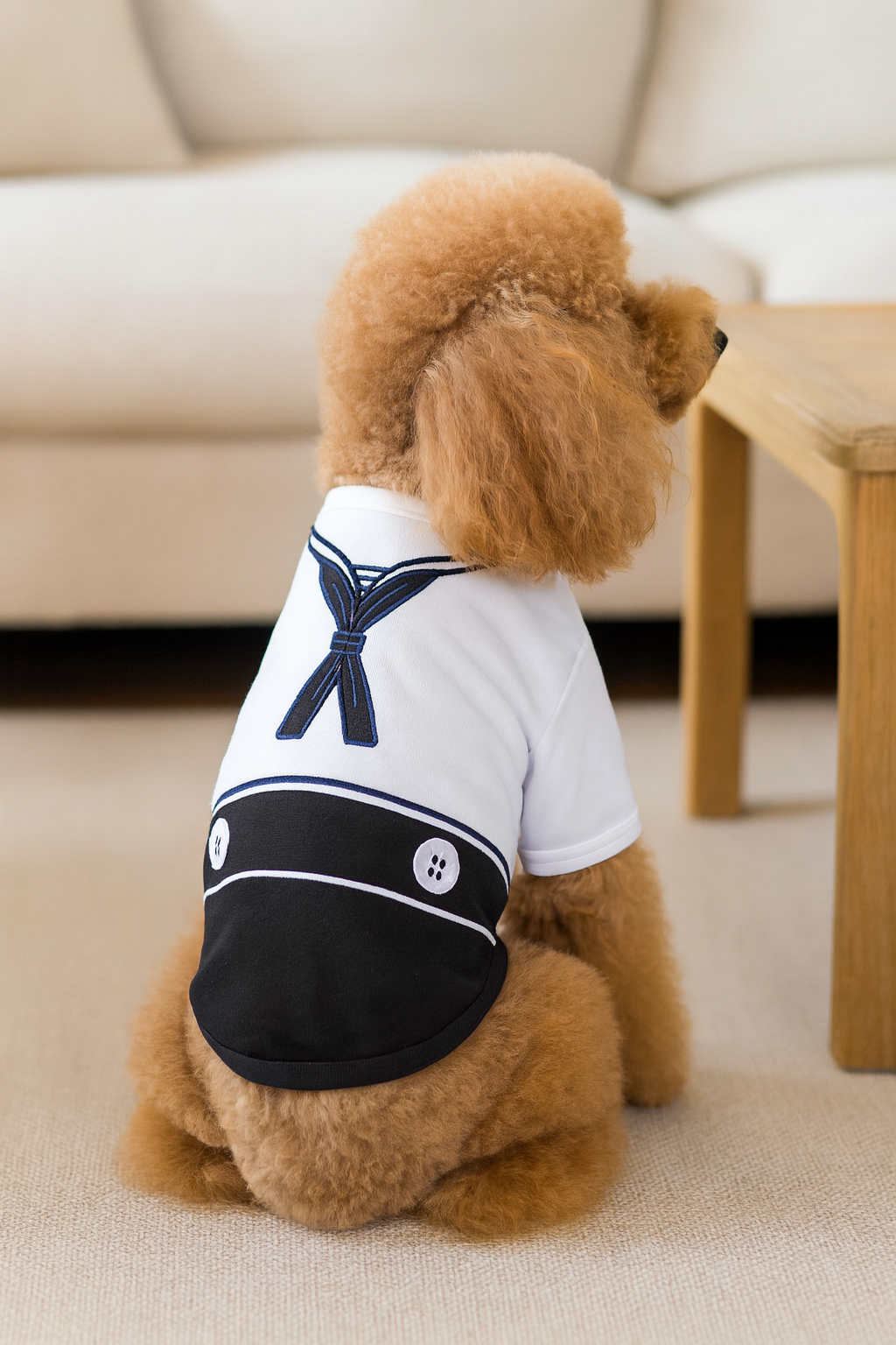 Sailor Dog