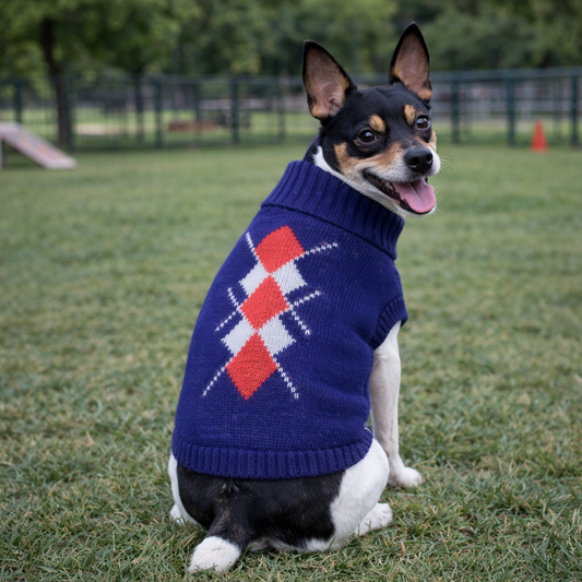 Argyle Sweater Navy-Red