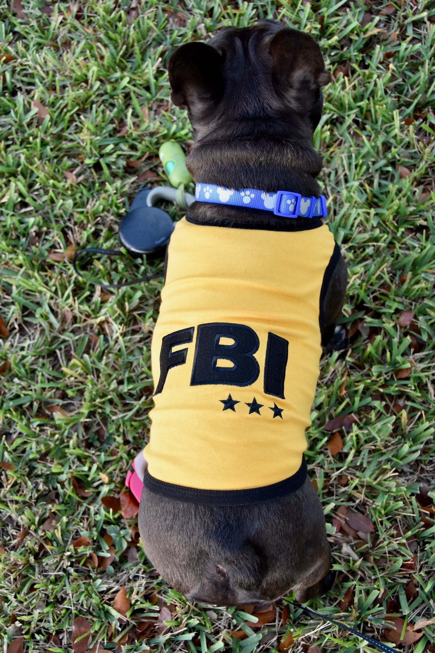 FBI
