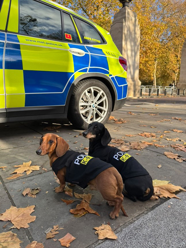 Police K-9 Unit