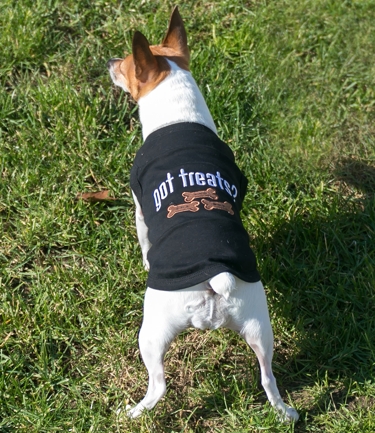 Got Treats?