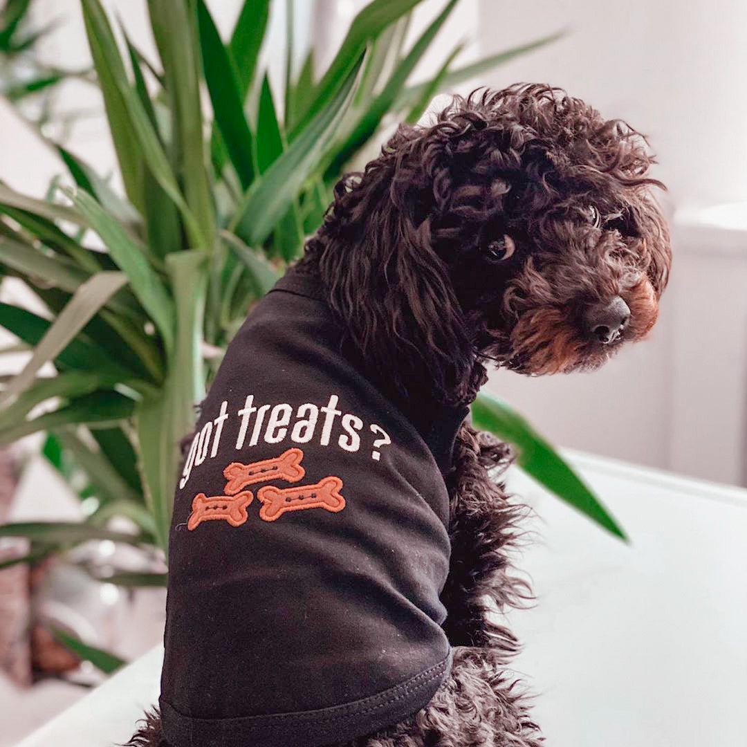 Got Treats?
