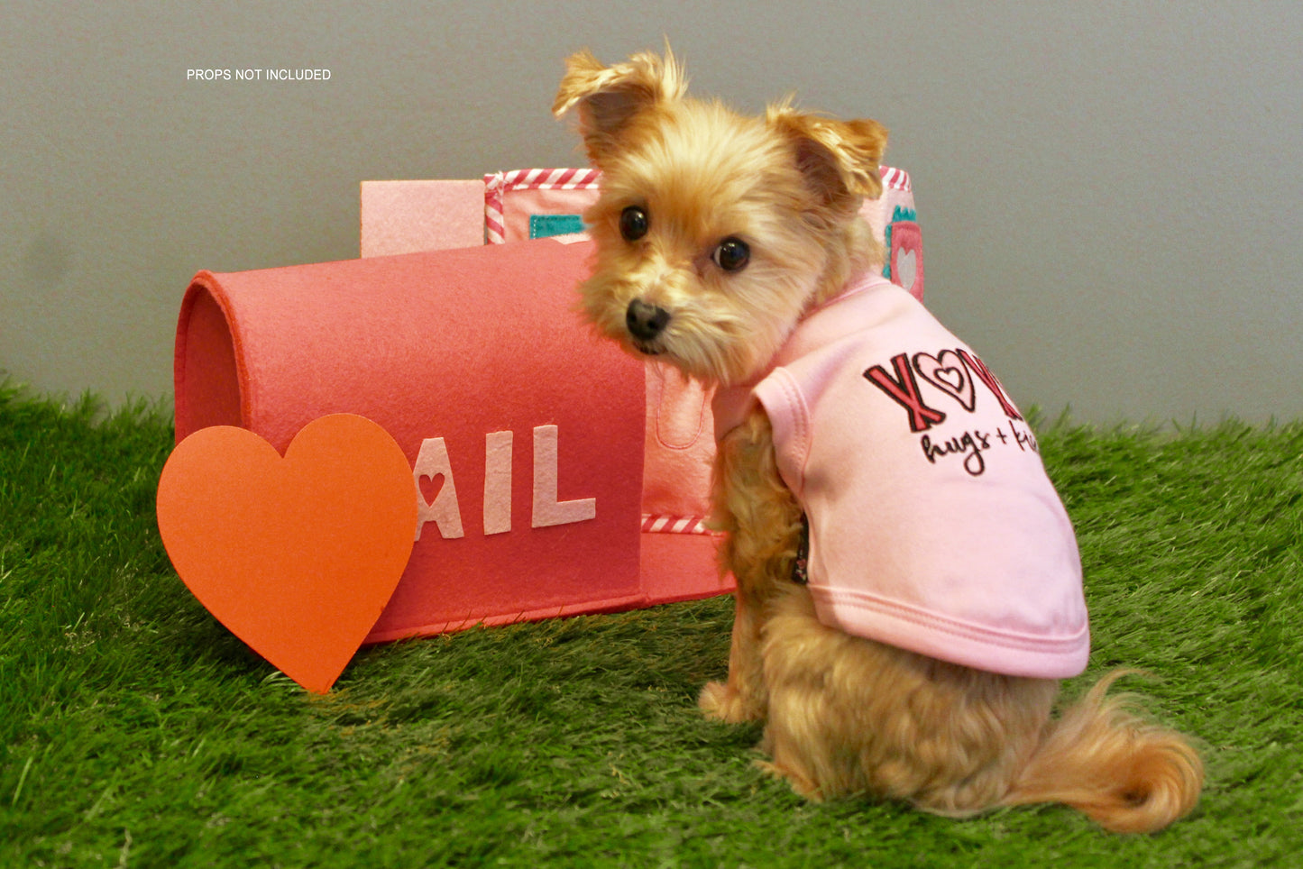 XOXO