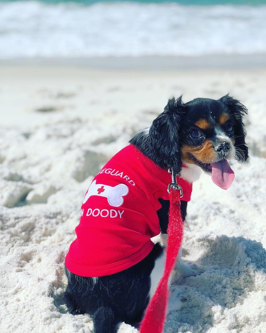 Lifeguard on Doody