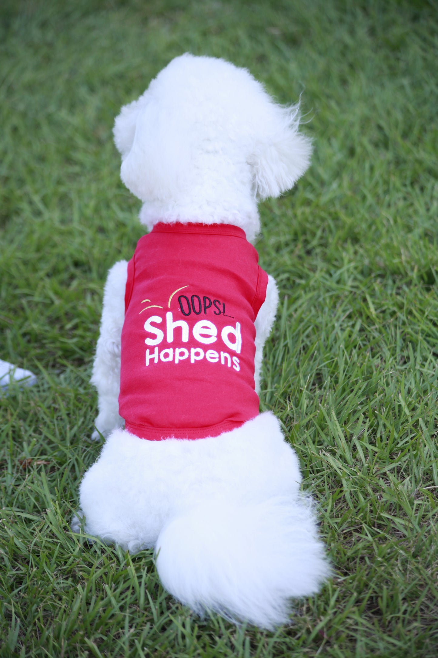Shed Happens
