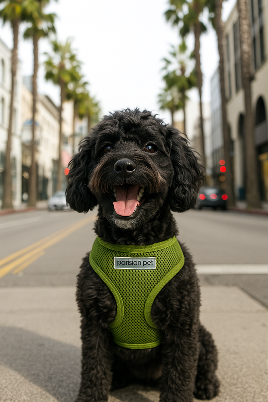 Freedom Harness - Green