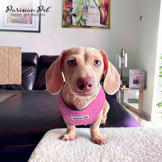 Freedom Harness - Pink Dot