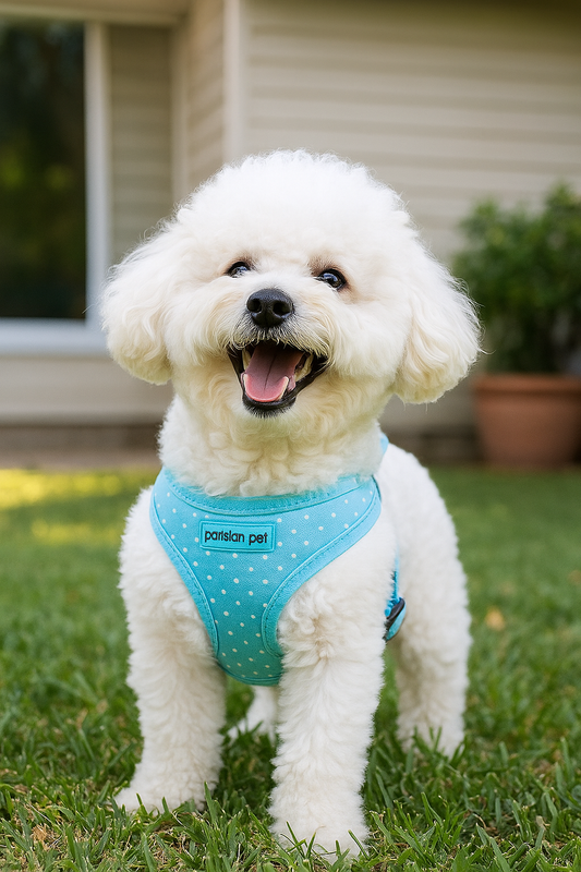 Freedom Harness - Polka Dot Blue