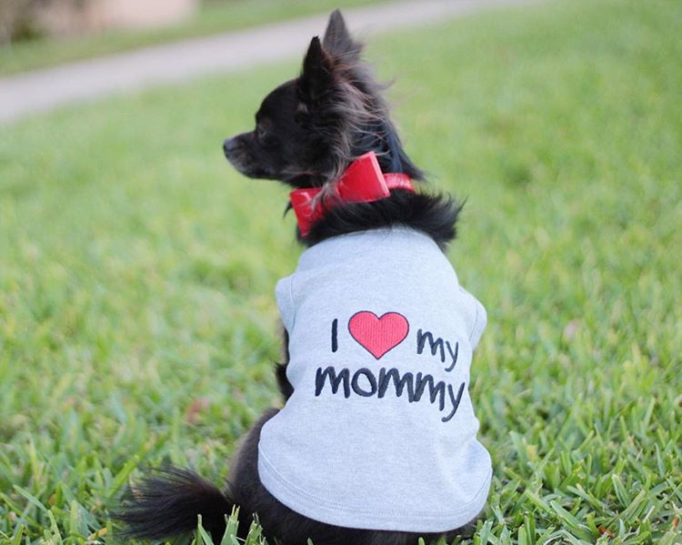 I Love Mommy® - Gray