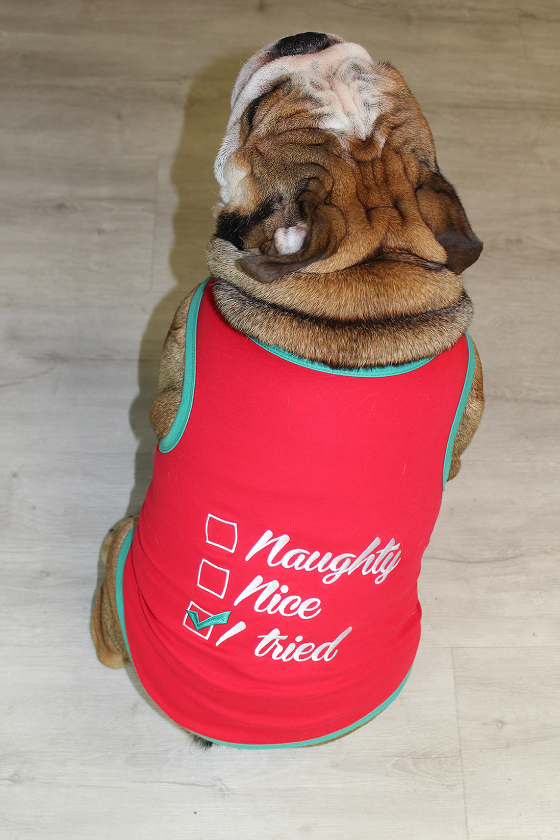 Naughty or Nice