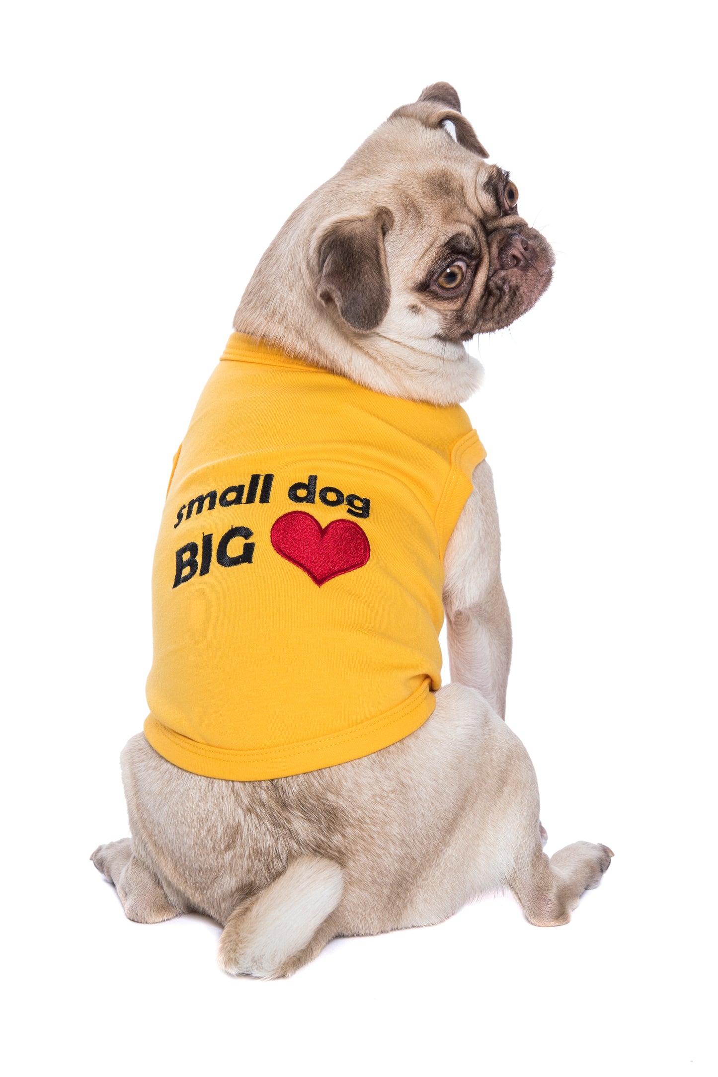 S Dog Big Heart