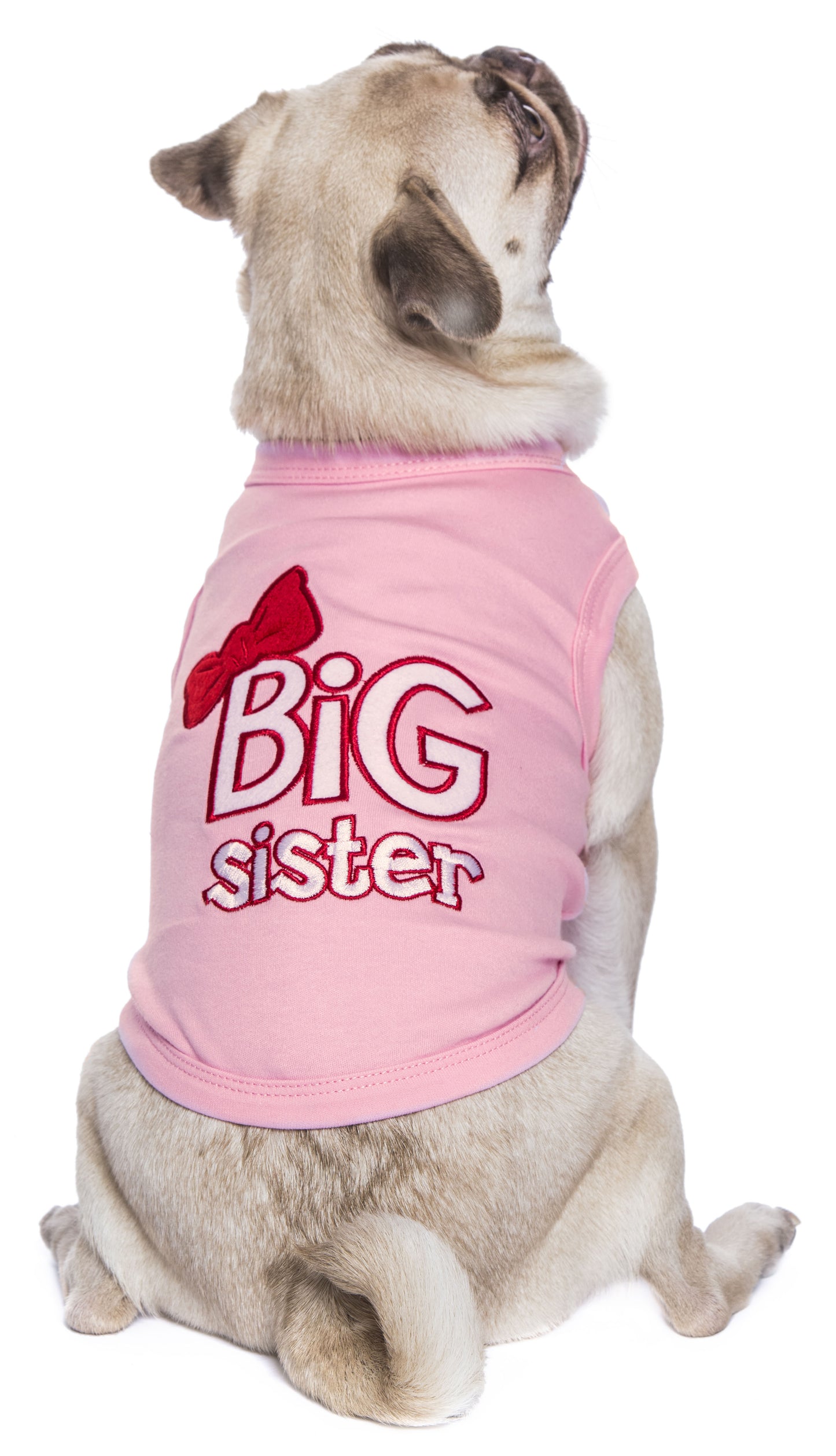 Big Sister