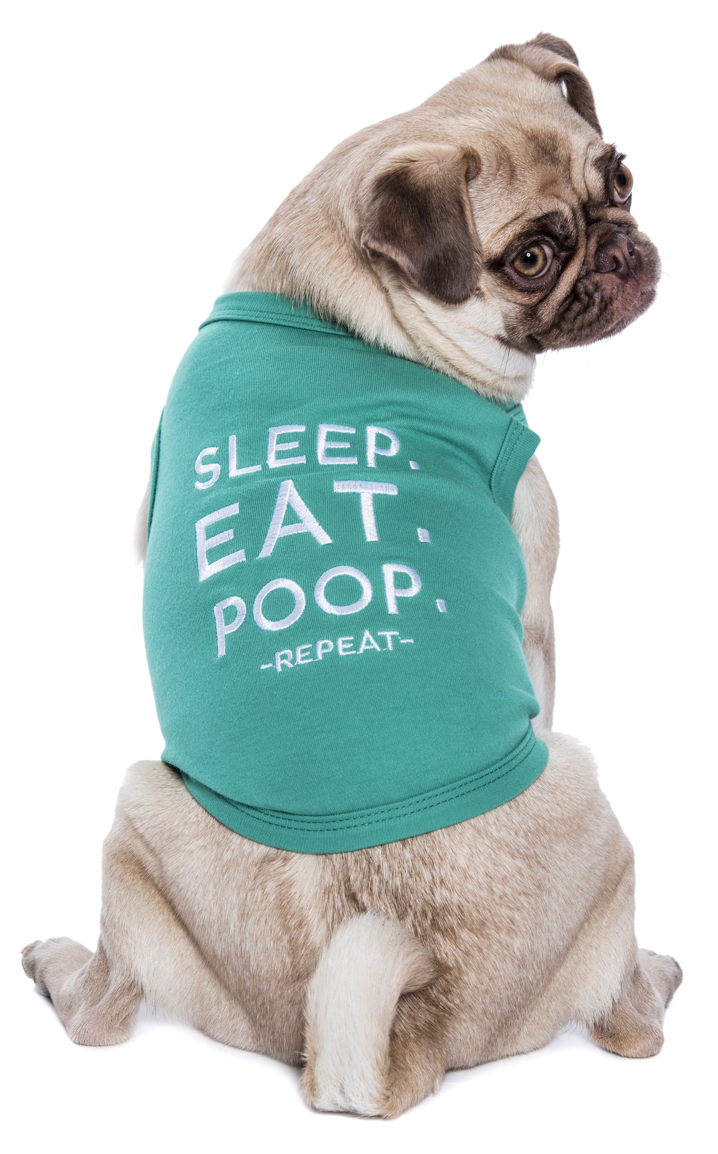 Sleep Eat Poop