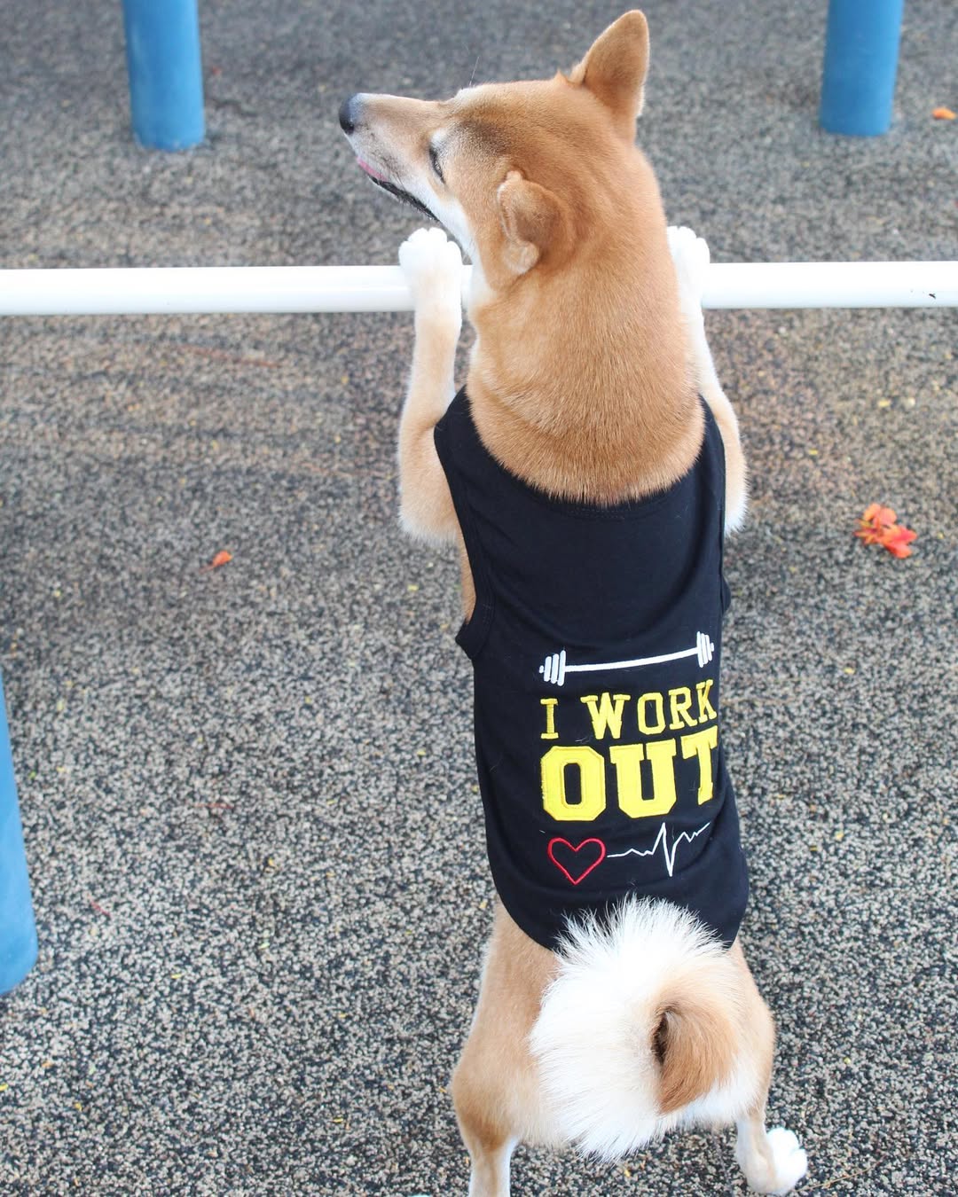 I Work Out