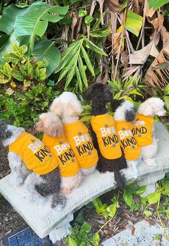 Bee Kind