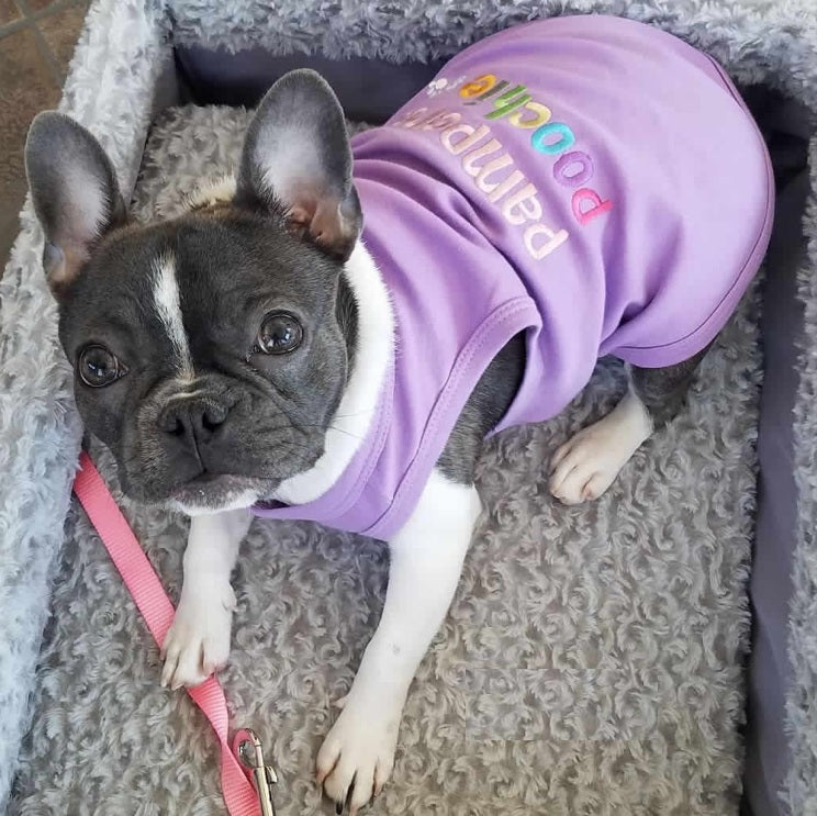 Pampered Poochie