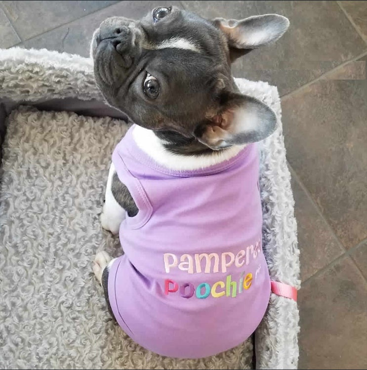 Pampered Poochie