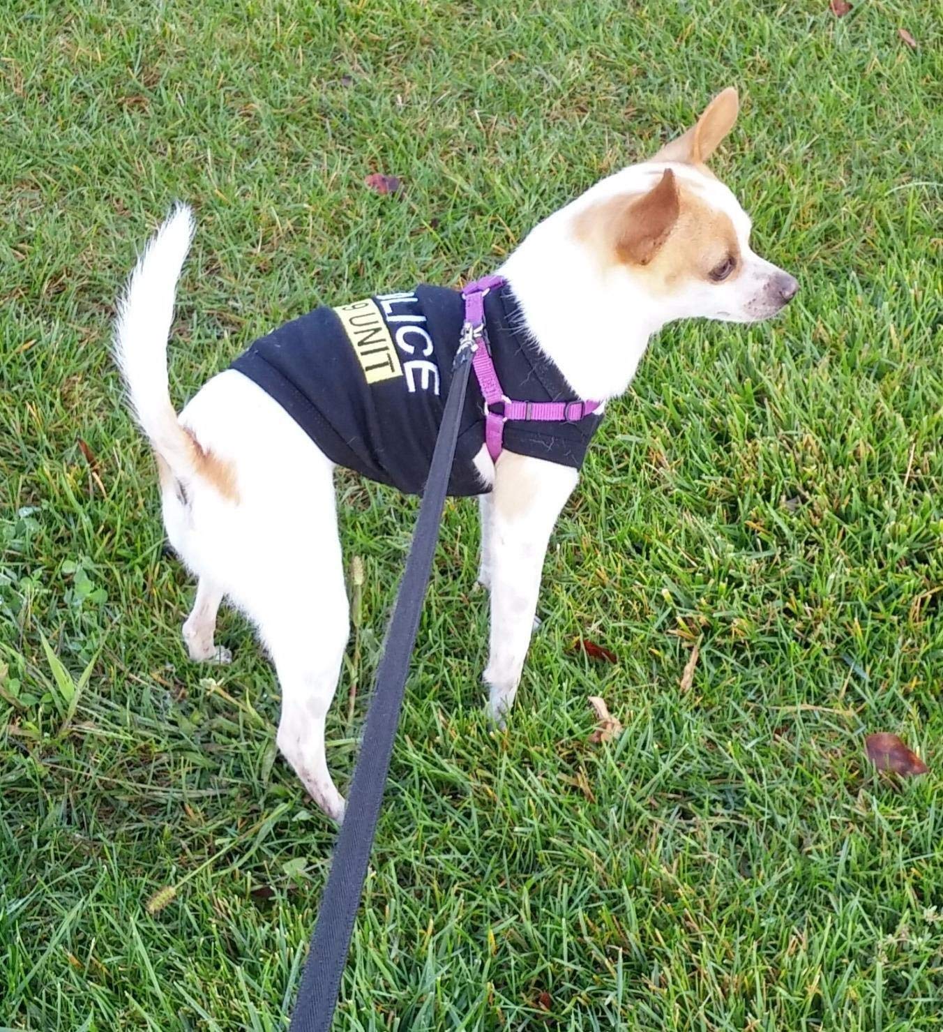 Police K-9 Unit