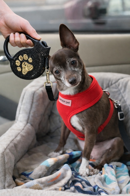 Crystal Retractable Leash Golden Paw
