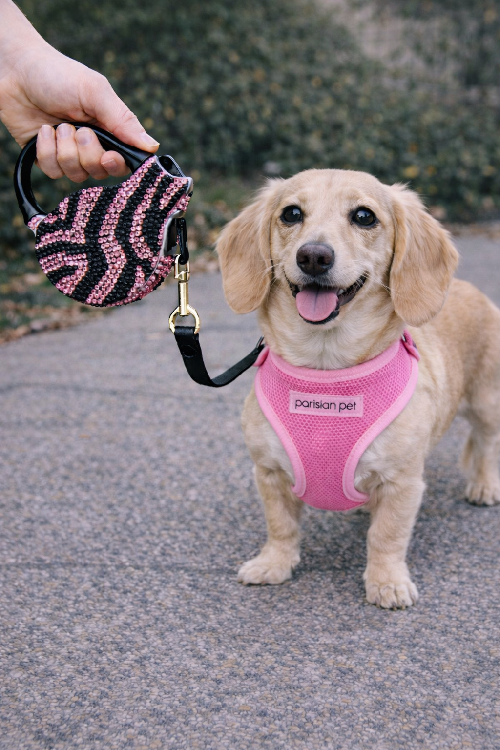 Crystal Retractable Leash Zebra Pink