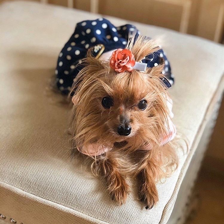 Nautical Dress Pink