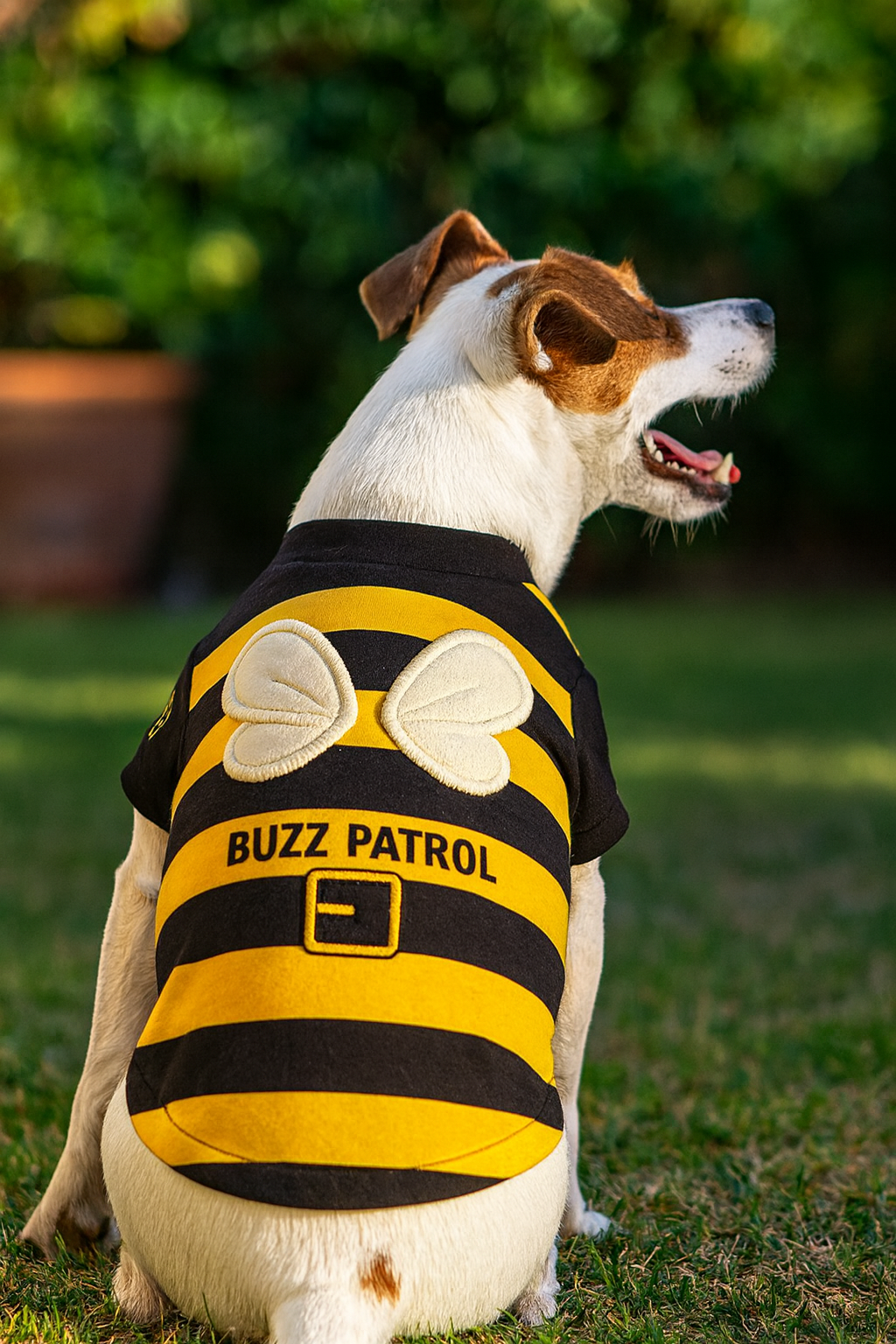 Buzz Patrol Bee