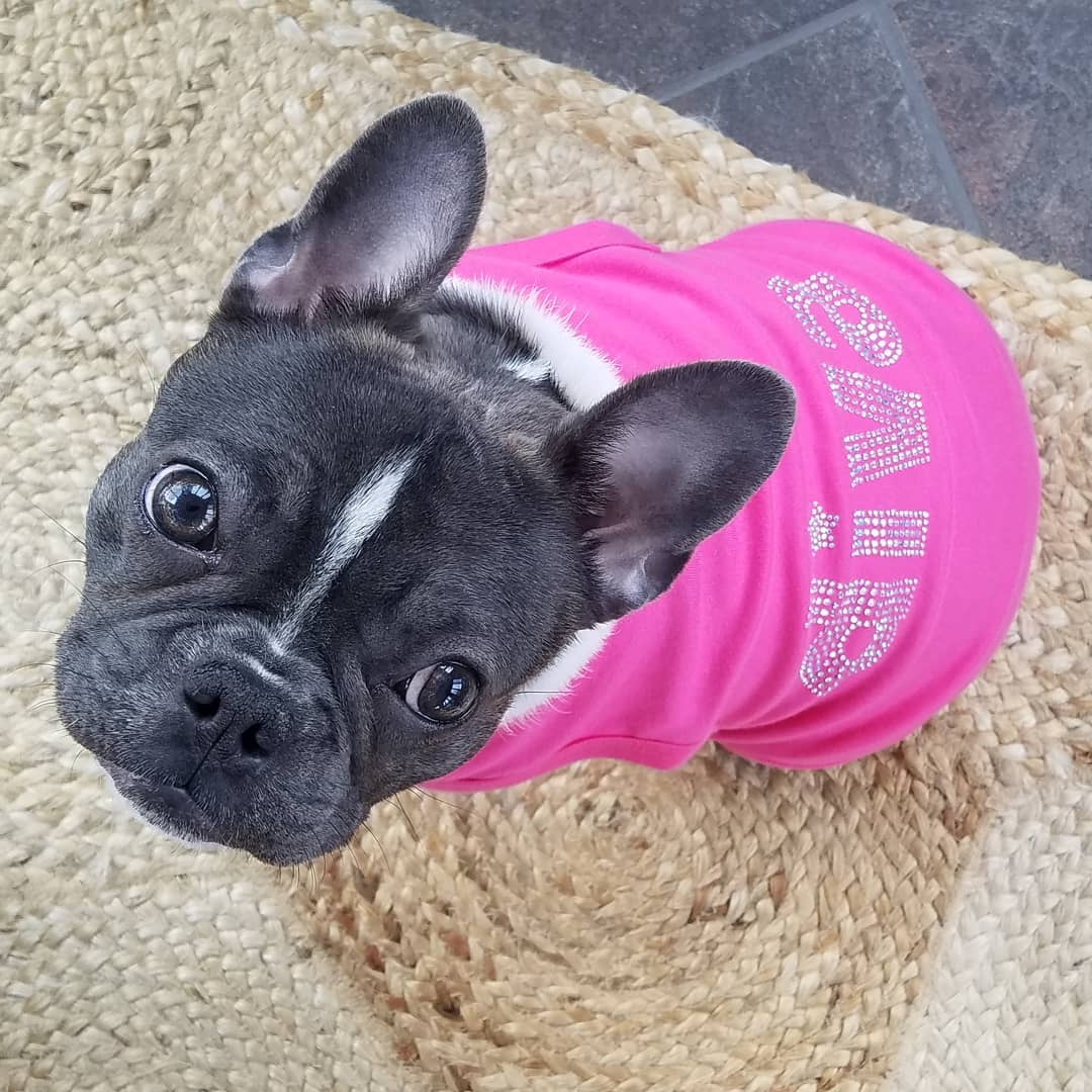 Diva