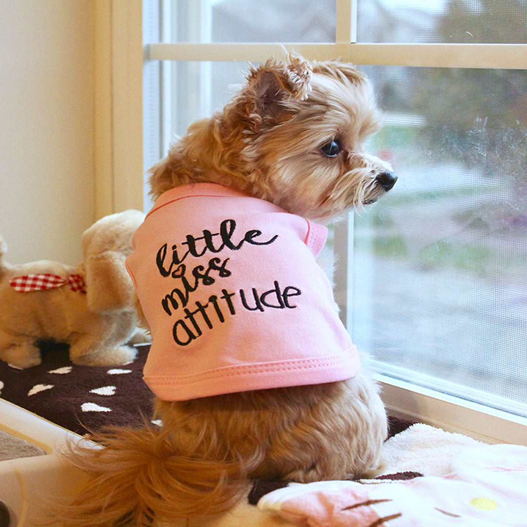 Little Miss Attitude