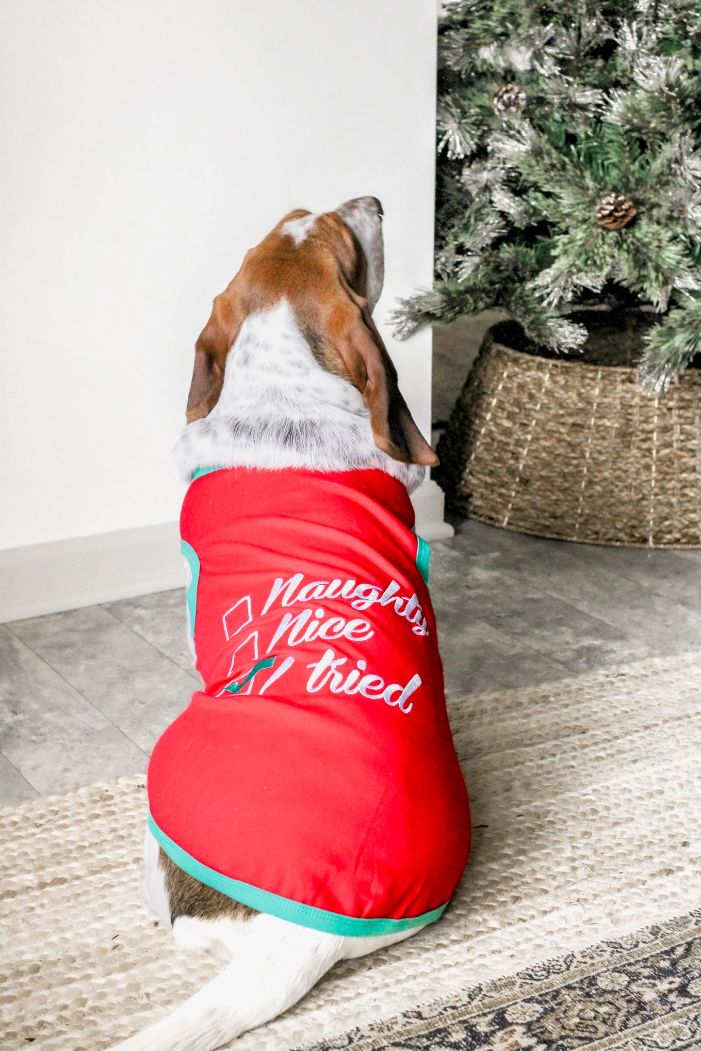 Naughty or Nice