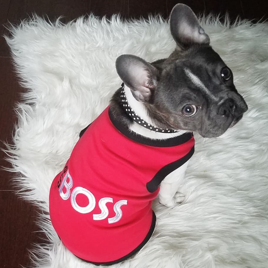 The Boss