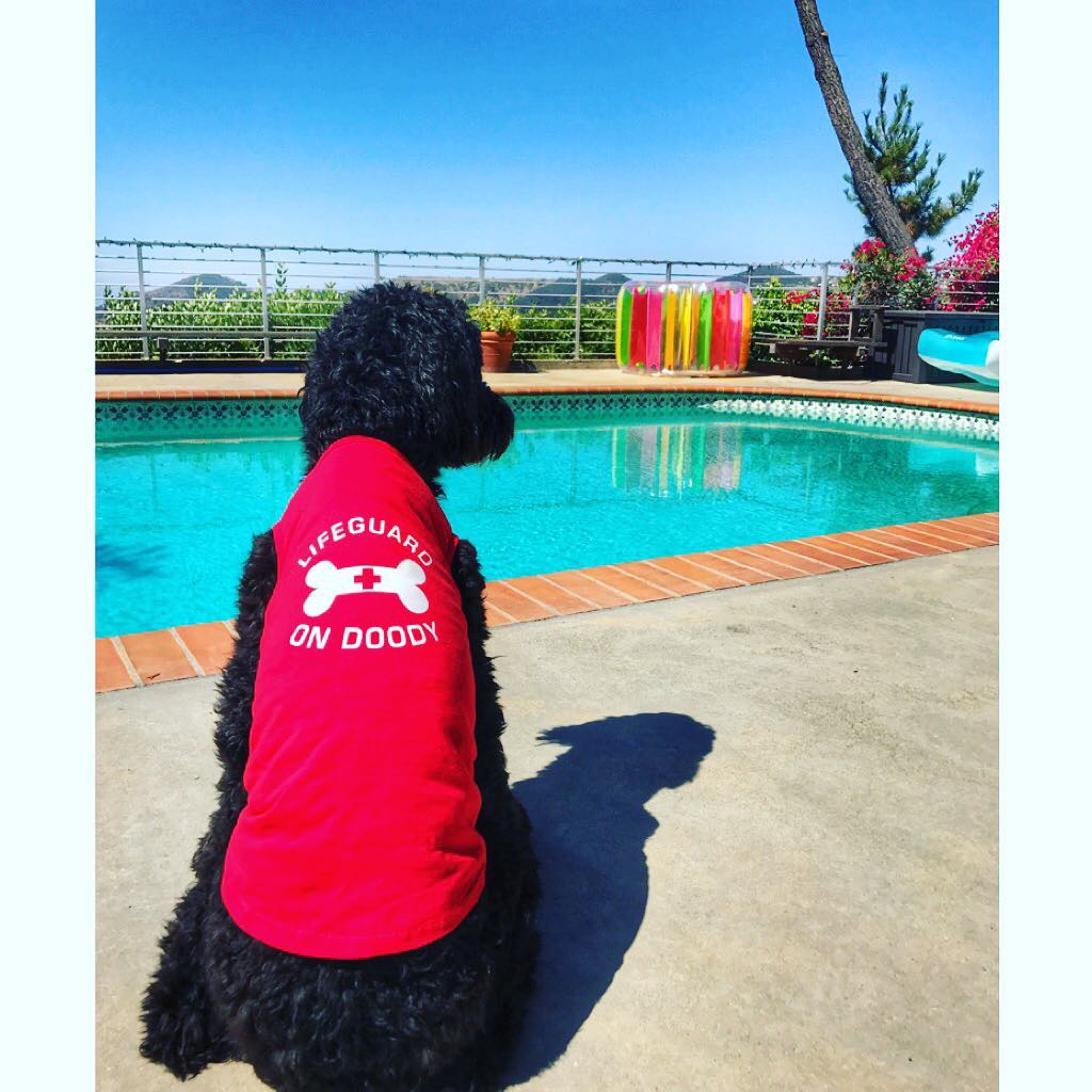 Lifeguard on Doody