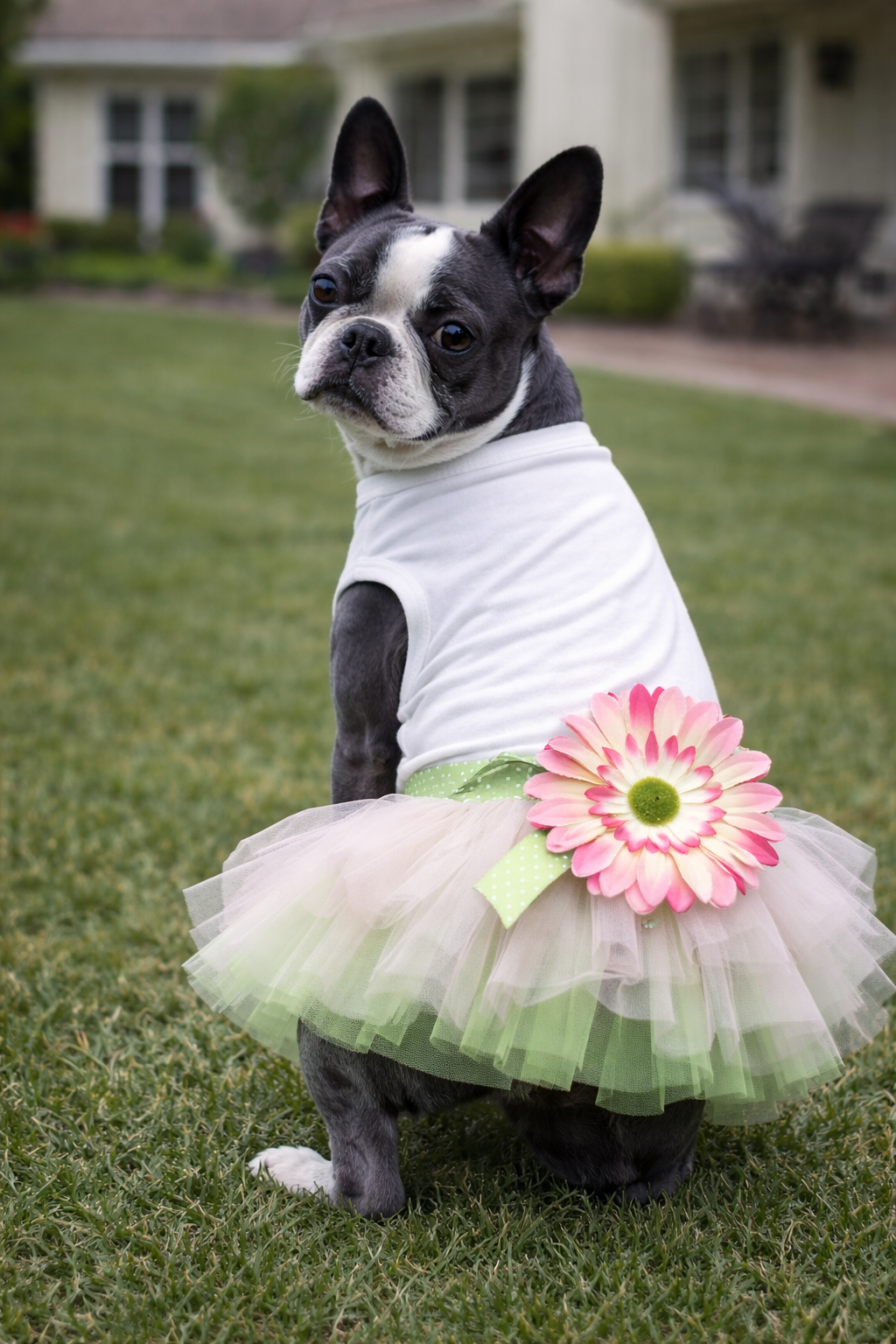 Sunflower Dress Green
