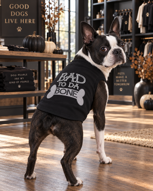 Boston Terrier wearing the black Parisian Pet Bad to da Bone dog shirt with gray bone design, standing inside a modern fall-themed pet boutique.
