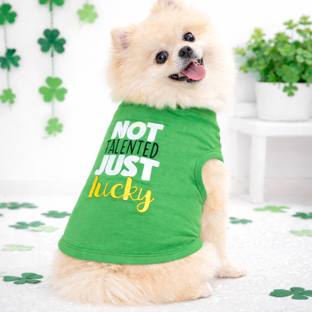 St. Patrick’s Day Looks for Pets: Green and Fun Outfits