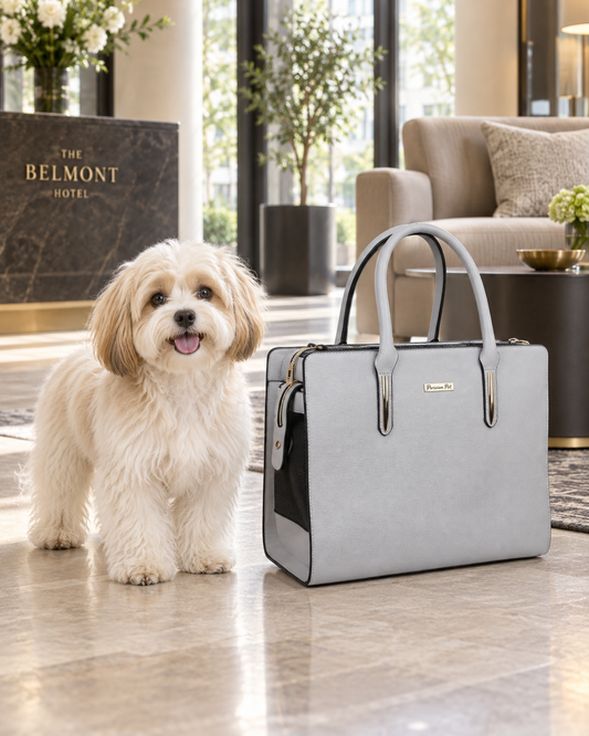 Small cream-colored dog standing beside a gray Parisian Pet pet carrier bag in an elegant pet-friendly hotel lobby.