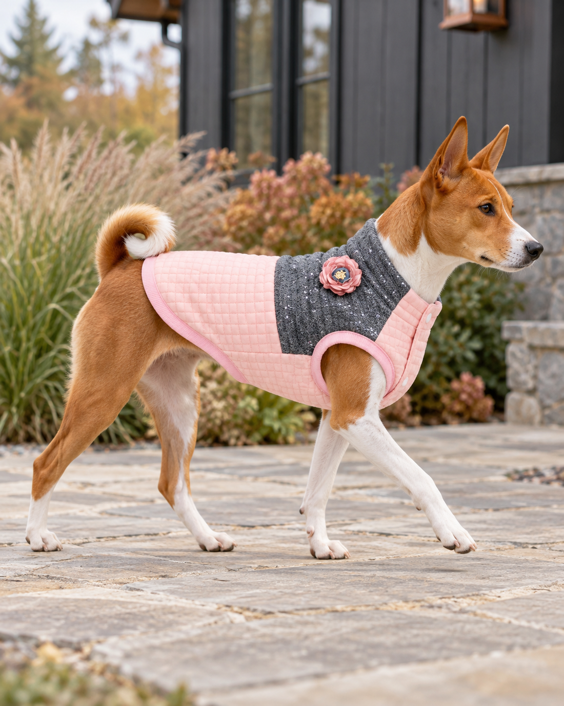 Basenji wearing a pink Fancy Flower Quilted Jacket by Parisian Pet, featuring gray floral details and quilted fabric, walking outside a countryside lodge. A stylish example of bulk pet jackets for boutique dog clothes collections.