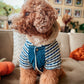Denim Striped Hoodie, Blue