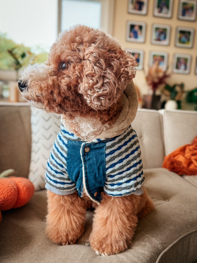 Denim Striped Hoodie, Blue