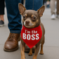 Im the Boss Bandana