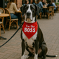 Im the Boss Bandana