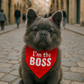 Im the Boss Bandana