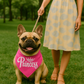 Princess Bandana
