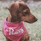 Princess Bandana