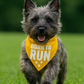 Born To Run Bandana